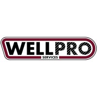 WellPro Services Pty. Ltd. logo - Similar company to Well Intervention Services