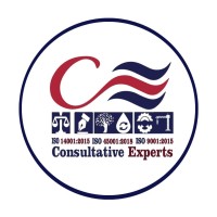 Consultative Experts logo - Similar company to Nextfutuer
