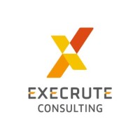 Execrute Consulting logo - Similar company to Japricrm