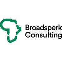 Broadsperk Consulting logo - Similar company to Consumer Ideas