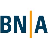 BN Automation AG logo - Similar company to Rainmaker Society