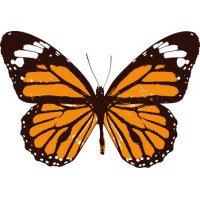 Monarqk LLC logo - Similar company to Accent Participaties Bv