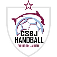 CSBJ Handball logo - Similar company to Stormstrike Inc.