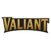 Valiant Consulting Group logo - Similar company to The Field'S Edge