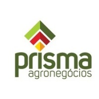 Prisma Agronegócios logo - Similar company to Delta Rio