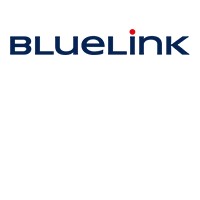 BlueLink Group logo - Similar company to Clientela