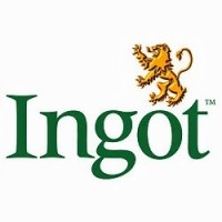 Ingot Services logo - Similar company to Fire Facilities Management Ltd