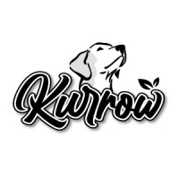 Kurrow logo - Similar company to Creative Railcar Marketing Services