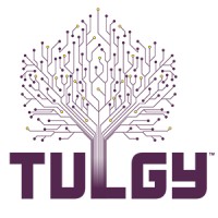 Tulgy