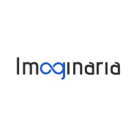 Imaginaria Technology Solutions logo - Similar company to Flw Studio