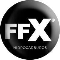 Fuel Flex México logo - Similar company to Vicervc