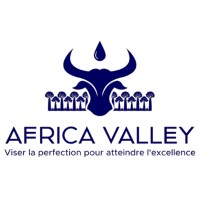AFRICA VALLEY logo - Similar company to Best Experts-Group