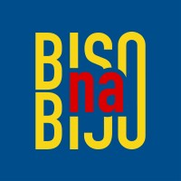 BISONABISO logo - Similar company to 243Congoentreprise