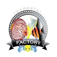 JS Ornamental Fish Factory logo - Similar company to Koipark