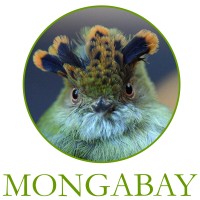 Mongabay.org logo - Similar company to Mongabay