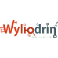 Wyliodrin logo - Similar company to Ccs Content Conversion Specialists