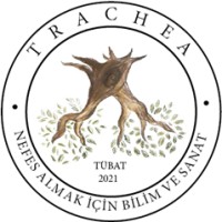 TÜBAT Trachea Dergisi logo - Similar company to Ustamdan