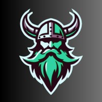 Vikingo Digital logo - Similar company to Data Pulse Technologies
