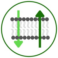 KFiB logo - Similar company to Bioaccure