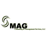 MAG Consulting & Management Services LLC logo - Similar company to Aft Digital