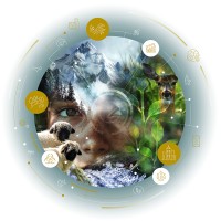 CAS One Health logo - Similar company to Healfie
