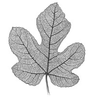 La Figuière logo - Similar company to Ads