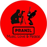 Pranil Arts logo - Similar company to Fum Robotics
