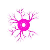 Synaptic Change Coaching LLC logo - Similar company to Acmp Socal Chapter