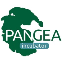 Pangea Incubator logo - Similar company to Bossaball International