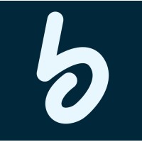 Bmasir | بیمسیر logo - Similar company to Magnetech