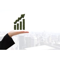 Growth Architect logo - Similar company to Wowohcool