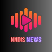 NNDIS NEWS logo - Similar company to Diversity Models