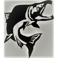 Black Salmon Partners, LLC