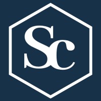 Stebel Consulting logo - Similar company to Vintal
