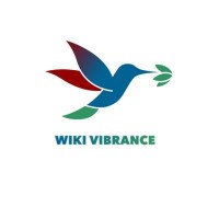WikiVibrance logo - Similar company to Wikimedia Rdc