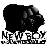 New Breed of Youth Mentoring Program logo - Similar company to Hodson Pi