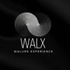 WALX logo - Similar company to Blooms Microfinance Bank