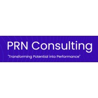 PRN Consulting LLC logo - Similar company to Prn Consulting