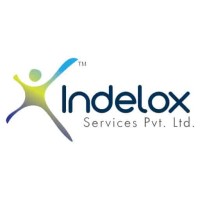 Indelox Services Private Limited logo - Similar company to Ravix Bioscience Private Limited