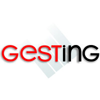 GESTING logo - Similar company to The Einstein Group