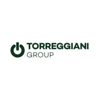 Torreggiani Group logo - Similar company to Edilesse Srl