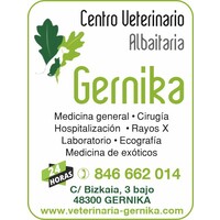 CENTRO CLINICO VETERINARIO GERNIKA SL logo - Similar company to Plasticos Gernika, S.L.