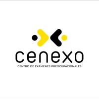 cenexo.cl logo - Similar company to Beatself