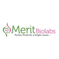 Merit Biolabs logo - Similar company to Scire Science