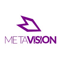 MetaVision logo - Similar company to Imdsoft