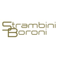Strambini e Boroni srl logo - Similar company to Avatek Srl