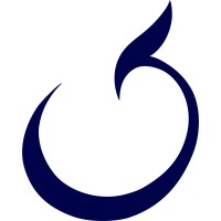 Appelfeld & Co. logo - Similar company to Matechs