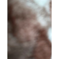 p4p logo - Similar company to P4P