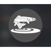Fly South logo - Similar company to Bennett Web Group