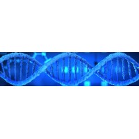 Genomics Jobs logo - Similar company to Genetics & Applications